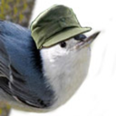 tristikovbirds avatar