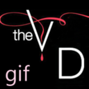 tvd-gif-blog avatar