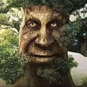 twobigtrucks avatar