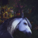 twracehorse avatar