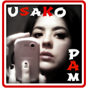 usako-pam avatar