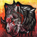 vanadiumwolf avatar