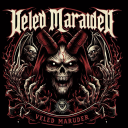 veiled-marauder avatar