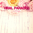 viralparadise avatar