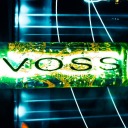 voss117 avatar