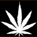 weedweedweed avatar