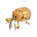 weevilsdaily avatar