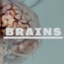 wellcomebrains-blog avatar