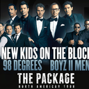 weowntonight-nkotb-blog avatar