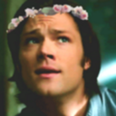 wingsdestiel avatar