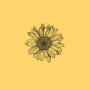 wlwsunflower avatar