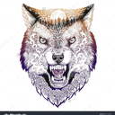 wolf-bear avatar