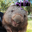 wombatburrow avatar