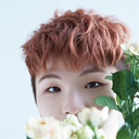 woozi-doozy avatar