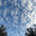 wtfrankitssarah avatar