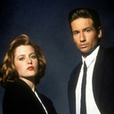 xfiles9316 avatar