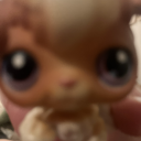 xpeebx avatar