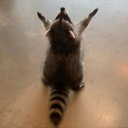 xxxxboredxxxx avatar