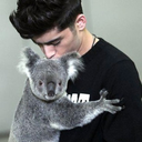 zayn-thatislife-aha avatar