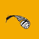 zebrafeatherah avatar