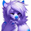 zobfurry980 avatar